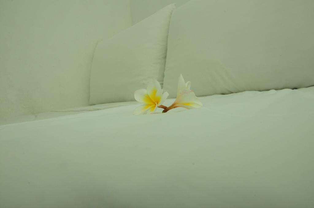 Villa Breeze Talpe Унаватуна Екстериор снимка
